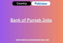 Bank of Punjab Jobs