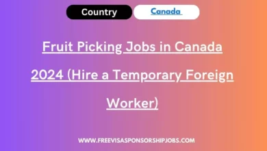 Fruit Picking Jobs in Canada