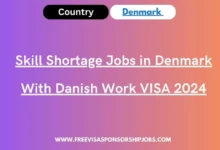 Skill Shortage Jobs in Denmark With Danish Work VISA