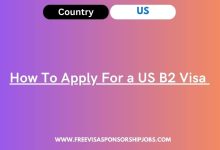 How To Apply For a US B2 Visa