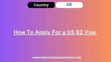 How To Apply For a US B2 Visa