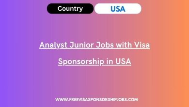 Analyst Junior Jobs with Visa Sponsorship in USA