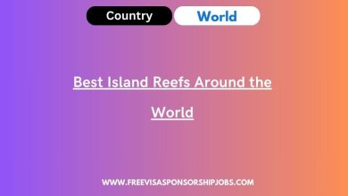 Best Island Reefs Around the World