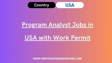 Program Analyst Jobs in USA with Work Permit