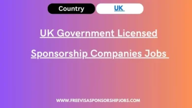 UK Government Licensed Sponsorship Companies Jobs