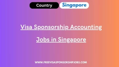 Visa Sponsorship Accounting Jobs in Singapore