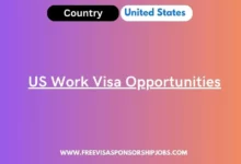 US Work Visa Opportunities