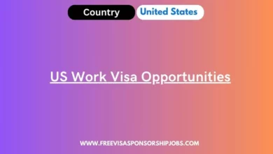 US Work Visa Opportunities