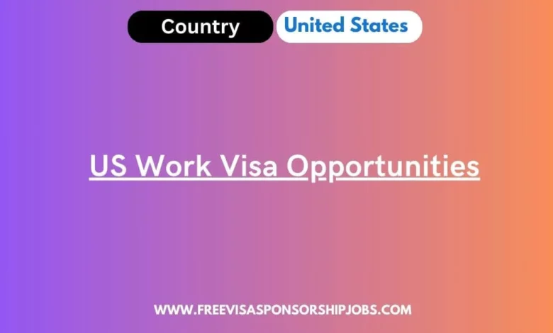 US Work Visa Opportunities