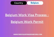 Belgium Work Visa Process