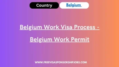 Belgium Work Visa Process
