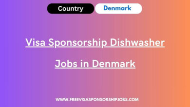 Visa Sponsorship Dishwasher Jobs in Denmark