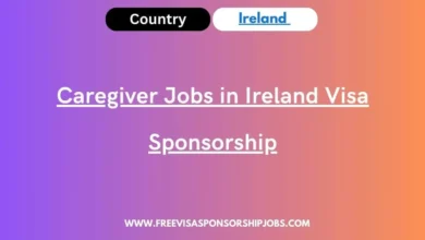 Caregiver Jobs in Ireland Visa Sponsorship