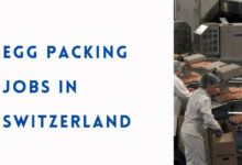 Egg Packing Jobs in Switzerland