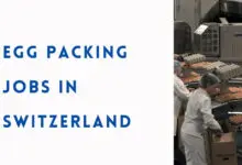 Egg Packing Jobs in Switzerland