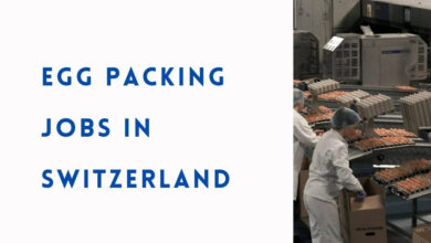 Egg Packing Jobs in Switzerland
