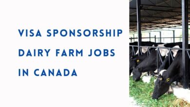 Visa Sponsorship Dairy Farm Jobs in Canada