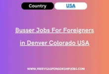 Busser Jobs For Foreigners