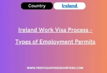 Ireland Work Visa Process - Types of Employment Permits
