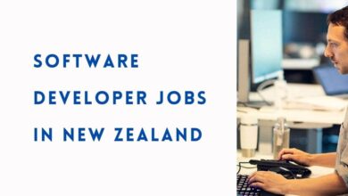 Software Developer Jobs in New Zealand