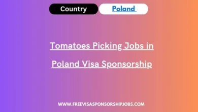 Tomatoes Picking Jobs in Poland