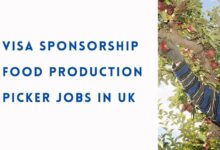 Visa Sponsorship Food Production Picker Jobs in UK