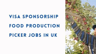 Visa Sponsorship Food Production Picker Jobs in UK