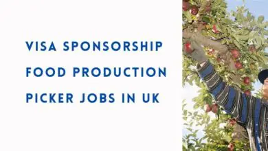 Visa Sponsorship Food Production Picker Jobs in UK