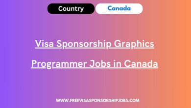 Visa Sponsorship Graphics Programmer Jobs in Canada