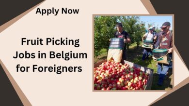 Fruit Picking Jobs in Belgium for Foreigners