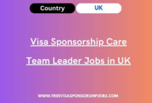 Visa Sponsorship Care Team Leader Jobs in UK