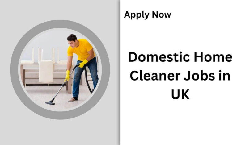 Domestic Home Cleaner Jobs in UK