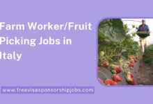 Farm WorkerFruit Picking Jobs in Italy