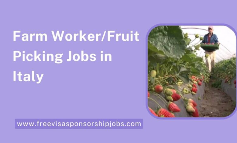 Farm WorkerFruit Picking Jobs in Italy