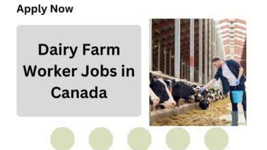 Dairy Farm Worker Jobs in Canada