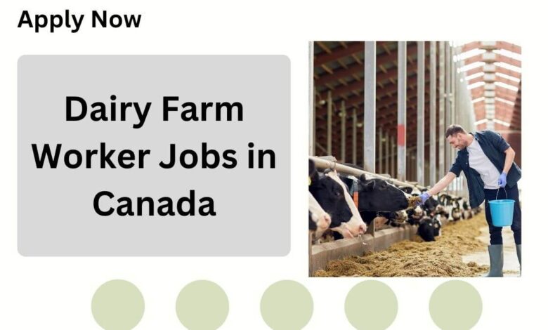 Dairy Farm Worker Jobs in Canada