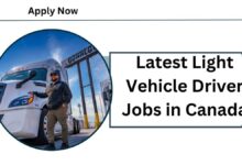 Latest Light Vehicle Driver Jobs in Canada